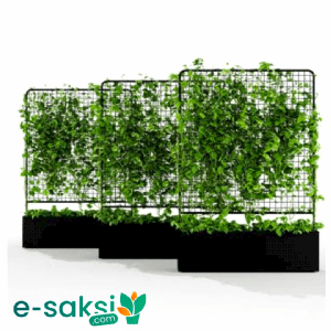 Seperatörlü Aronis Serisi