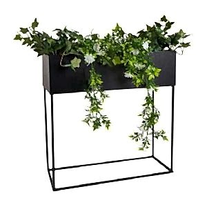 Ayaklı Aronis Serisi